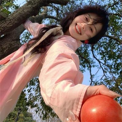 网中的太阳